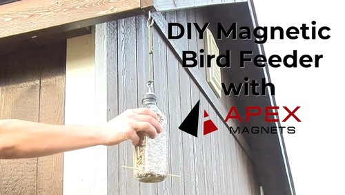 DIY: Magnetic Bird Feeder